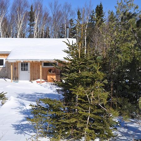 The Sleeping Moose Cottage Birch Plain Luaran gambar