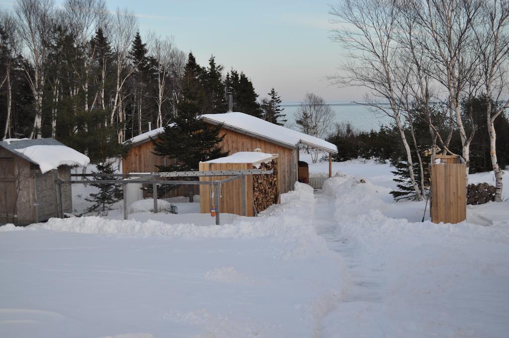 The Sleeping Moose Cottage Birch Plain Luaran gambar