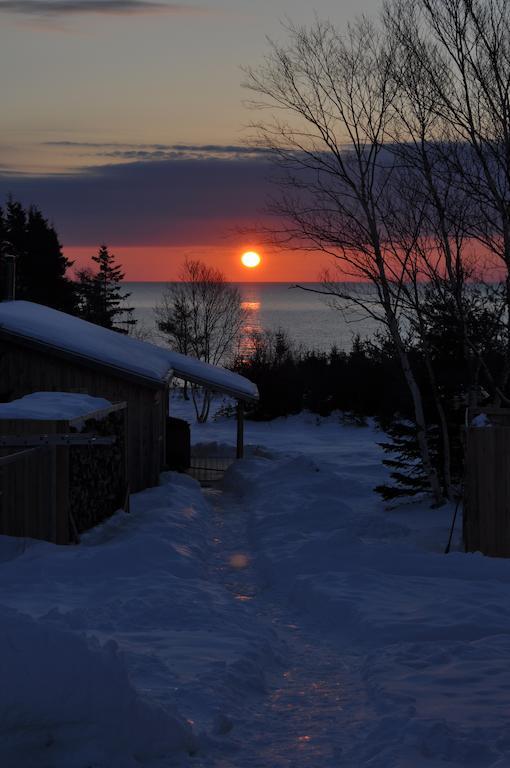 The Sleeping Moose Cottage Birch Plain Luaran gambar