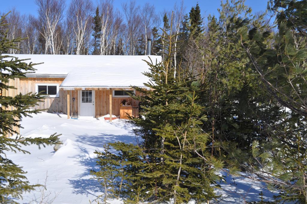 The Sleeping Moose Cottage Birch Plain Luaran gambar