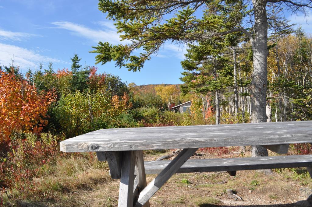 The Sleeping Moose Cottage Birch Plain Luaran gambar