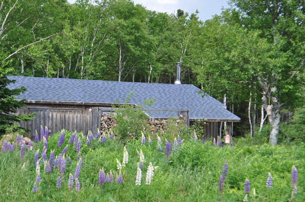 The Sleeping Moose Cottage Birch Plain Luaran gambar