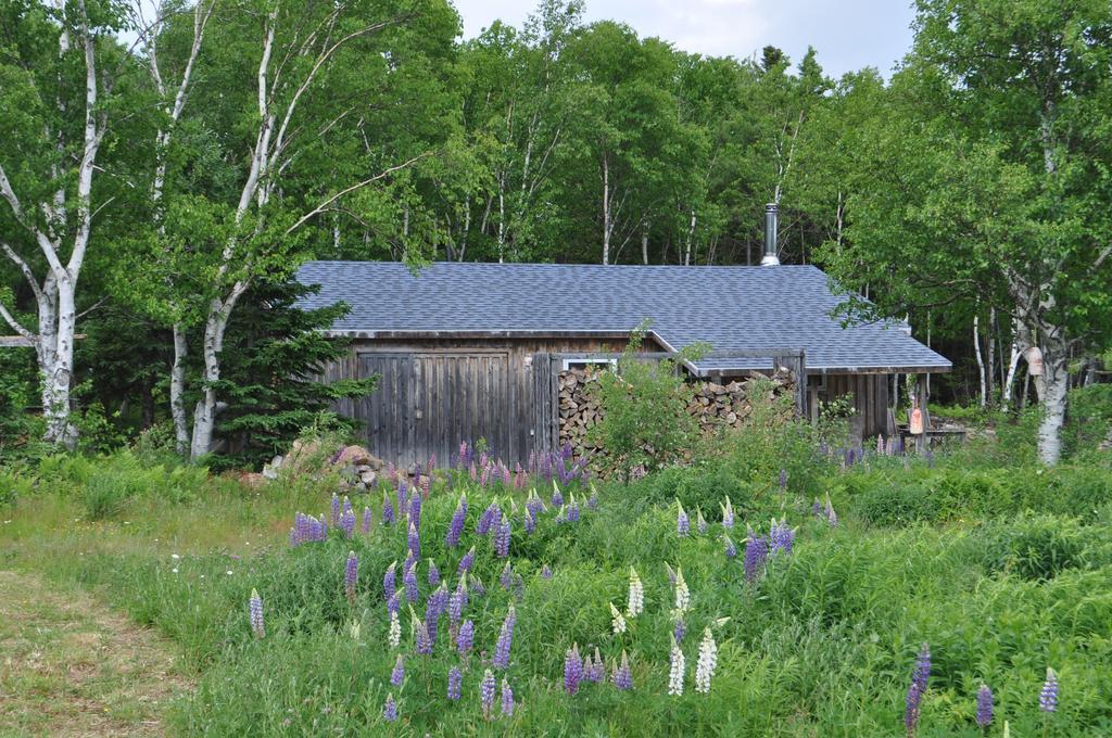 The Sleeping Moose Cottage Birch Plain Luaran gambar