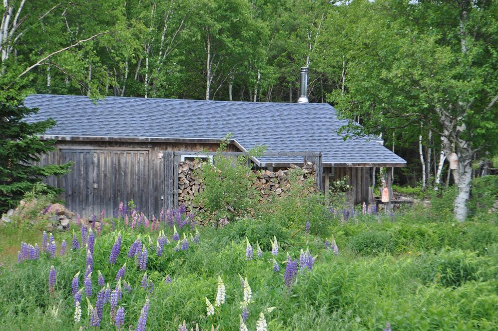 The Sleeping Moose Cottage Birch Plain Luaran gambar
