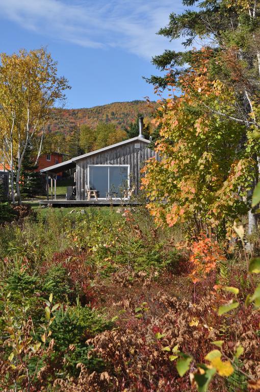 The Sleeping Moose Cottage Birch Plain Luaran gambar
